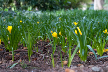 Similar image 510382