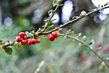 Similar image 510388