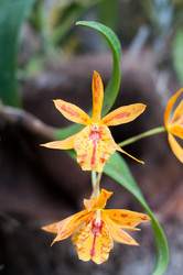 Similar image 510409