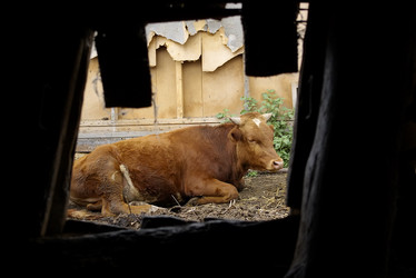 Similar image 510422