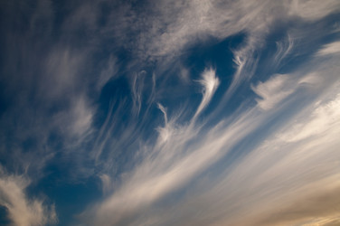 Similar image 510442