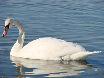 Similar image 510489