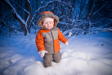 Similar image 510616