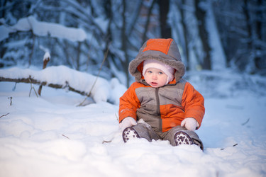 Similar image 510630