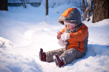 Similar image 510634