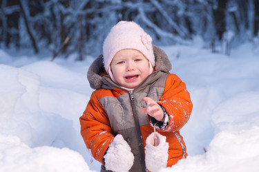 Similar image 510637