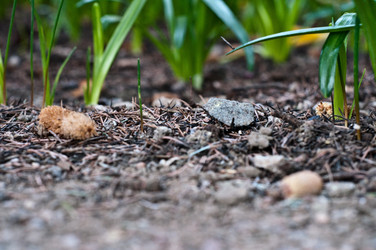 Similar image 510678