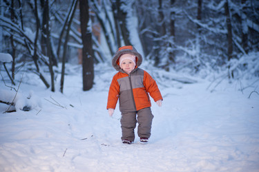 Similar image 510689