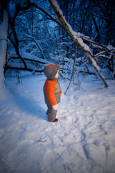 Similar image 510694