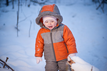 Similar image 510702