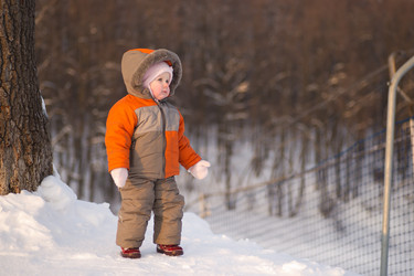 Similar image 510716