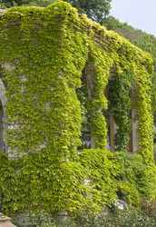 Similar image 510733