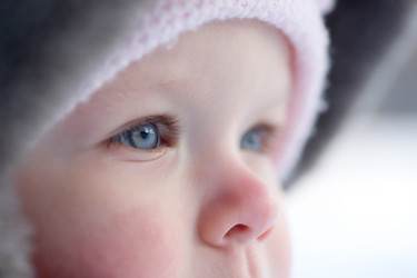 Similar image 510734