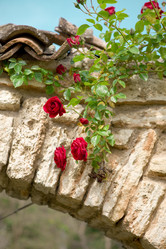 Similar image 510739