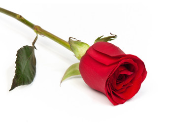 Similar image 510743