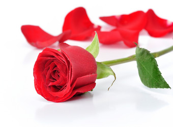 Similar image 510744