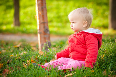 Similar image 510747