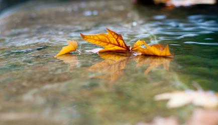 Similar image 510754