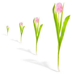 Similar image 510759