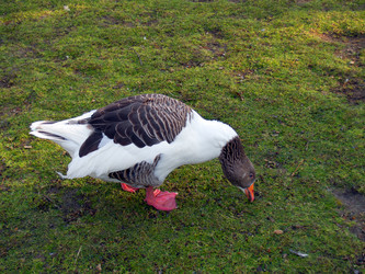 Similar image 510813