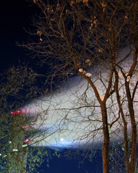 Similar image 510824