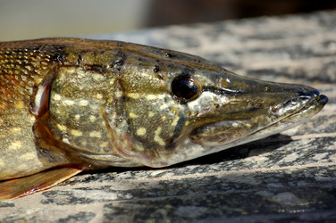 Similar image 510865