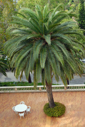 Similar image 510913