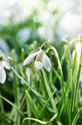 Similar image 510938