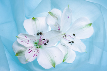 Similar image 510947