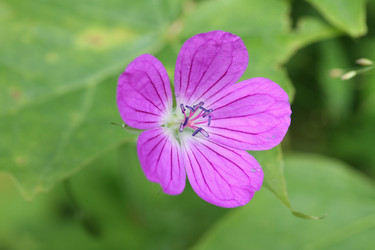 Similar image 510998