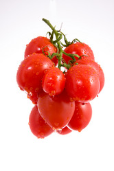 Similar image 511005