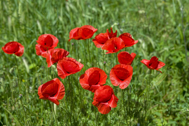 Similar image 511006