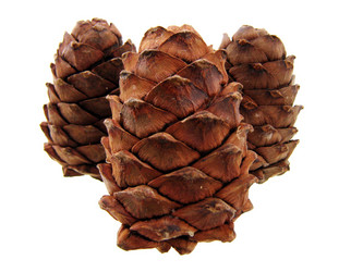 Similar image 511029