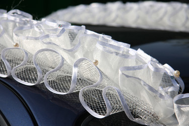 Similar image 511072