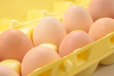 Similar image 511095