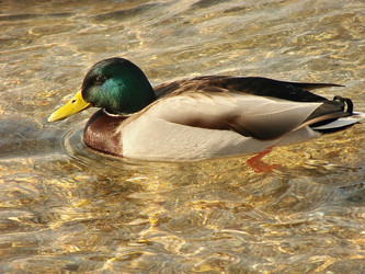 Similar image 511096