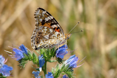 Similar image 511101