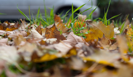 Similar image 511114