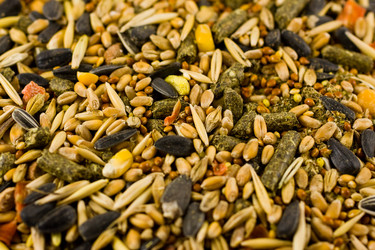 Similar image 511132