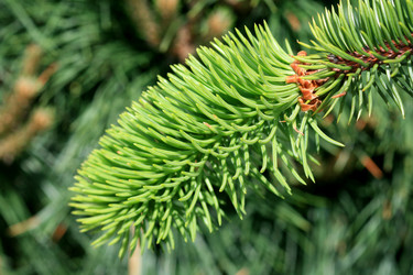 Similar image 511179