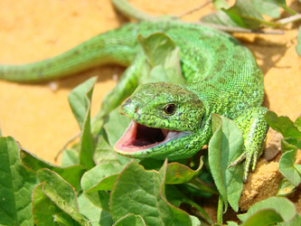 Similar image 511192