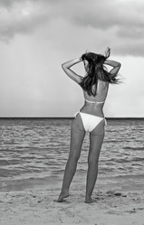 Similar image 511207