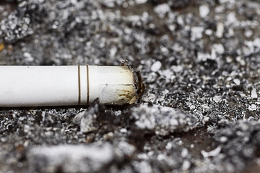 Similar image 511219