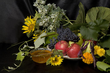 Similar image 511261