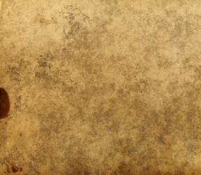 Similar image 511393