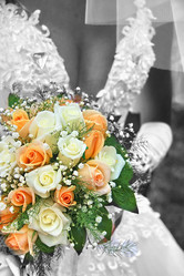 Similar image 511438