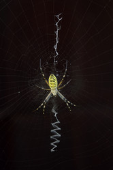 Similar image 511468