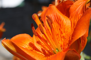 Similar image 511469