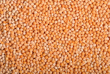 Similar image 511501