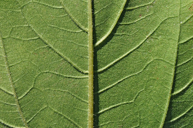 Similar image 511504